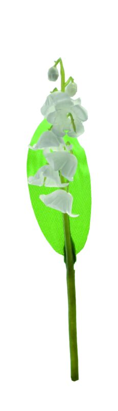 LELIETJE-VAN-DALEN PAAL 1 TAK 1 BLAD HT 15CM PLASTIC 30 STUKS