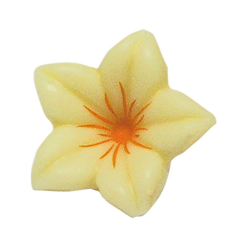 1054013 WITTE BLOEM 76ST ***S/CDE***