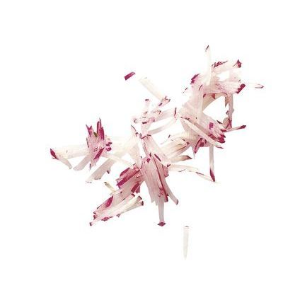 ROBOT COUPE DISQUE "PM"BATONNETS 2X2MM