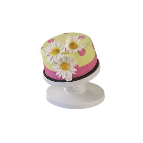 TURNTABLE DIAM 23XH14CM TILTABLE