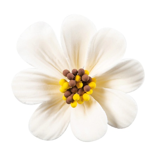 [08054316] 1066098 FLEUR DE LYS WHITE GUMMY 5CM 36 PCES ***ON ORDER***