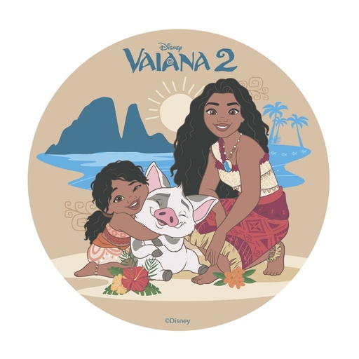 [00067398] WAFER DISC MOANA 2 Ø20CM