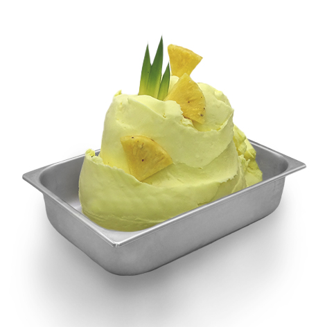 [00068188] MEC3 08071A ANANAS C.P. 500 FAST 1,25KG