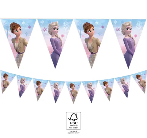 [00068385] FROZEN II WIND SPIRIT  GUIRLANDE DRAPEAUX 1pc