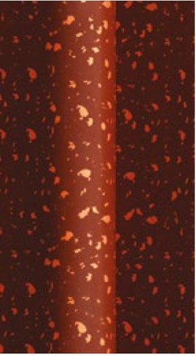 [00070765] 092108 PCB OVERDRACHTSBLAD BRONS VLEK 265X125MM 20 STUKS