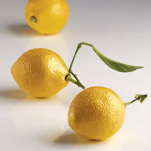 [00073721] PAVOFLEX MOULE CITRON "CEDRIC GROLET" 30 x 17.5 CM 85ML - 8 EMPREINTES