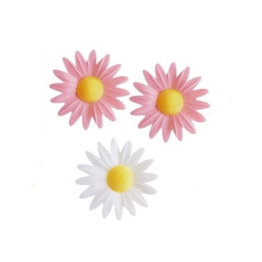 [70407025] M05 DUO PINK+WHITE MARGUERITE WAFER 45MM 100PCS