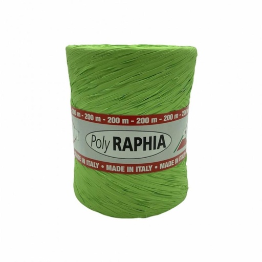 [70407805] POLY RAPHIA 15MM X 200M KIWI GREEN R65
