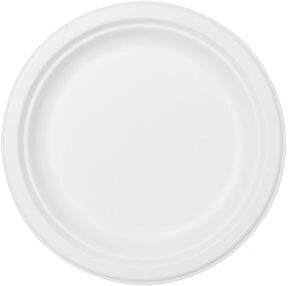 [45000064] DUNI ASSIETTES BLANCHE "BAGASSE" BIO D/22CM  10 PCES