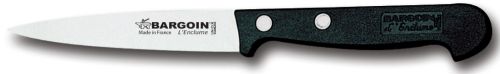 [50352050] FISCHER SCHILPMESJE 10CM 2 KLINKNAGELS 210-10