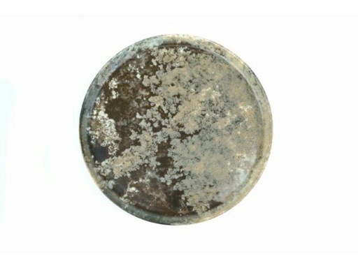 [60250968] GURAL FOREST DINNER PLATE 29CM - 622101