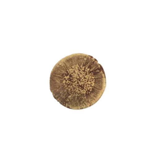 [08054993] 1034764 GOLD CLASH DARK 4CM 100PCS ***S/CDE***