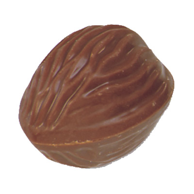 [11020387] PRALINE BRUYERRE NOIX LAIT 1.1KG
