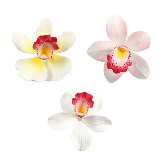 [08081245] 1066042 SMALL ORCHID ASSORTMENT 12PCS
