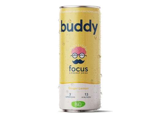 [02060478] BOISSON BUDDY CITRON GINGEMBRE CANNETTE 12 X 250ML