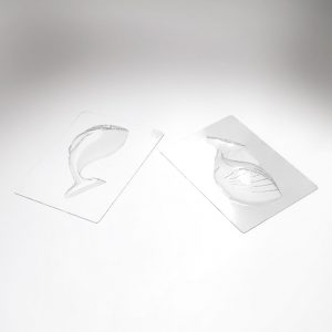 [08057771] 074078 PCB WALVIS MALLEN VOOR 6 ONDERWERPEN 17,5X8,7 CM P.ONDERWERP 7,2 CM 12 STUKS ***S/CD***