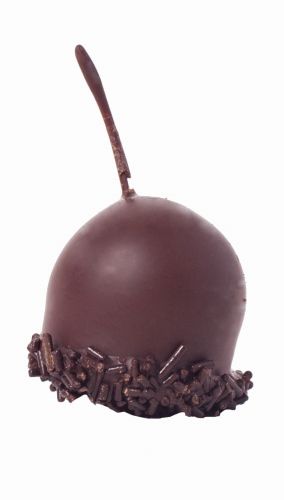 [11030035] PRALINE BRUYERRE GUINETTE MET STEEL 1KG