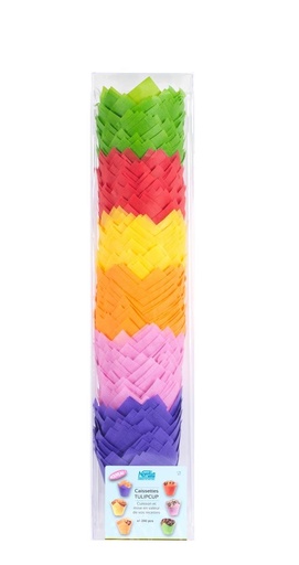 [41801995] BLISTER 240 TULIPCUP 50/80MM 6 COUL ASS