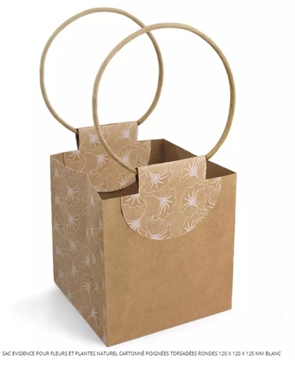 [61700163] KRAFT PAPER BAG WITH STRING HANDLES 120X120XH/125MM 10 PCES