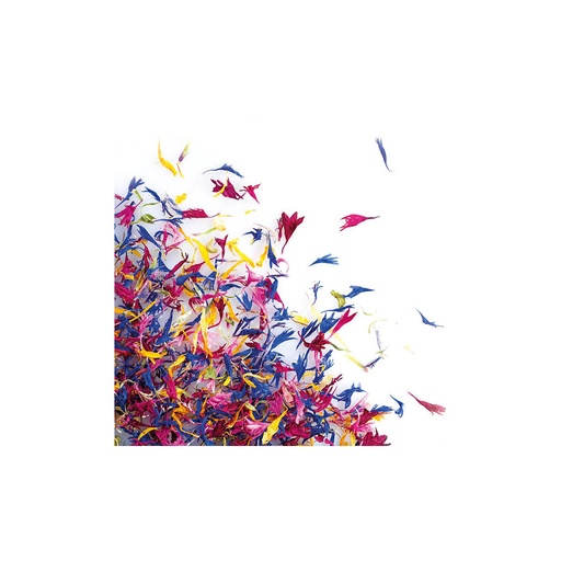 [08058134] 088214 PCB GEDROOGDE BLOEMENMIX 12GR