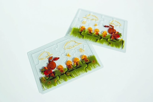 [08057733] 074040 PCB BLISTERS PUZZELS IN INDIASE RIJ 19X13 CM 10 STUKS ***S/CD***