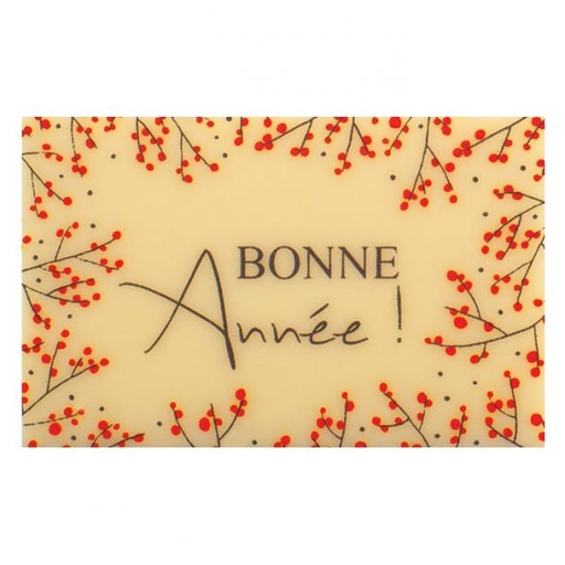 [08056706] 060452 PCB RECTANGLES CB HOUX 2 DESIGNS 5,5X3,5 CM150PCES ***S/CD***