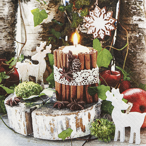 [60700763] HOME FASHION NAPKIN 33X33CM DECO COZY PACK OF 20PCS