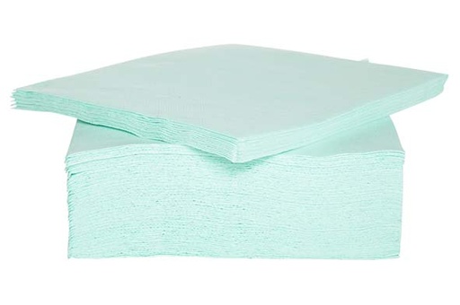 [44660233] C&T PROF SERVIETTE VERT D'EAU AQUA 38X38CM 40PCES