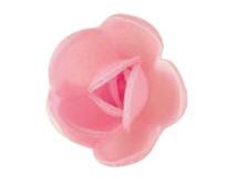 [70407051] RP02 KLEIN ROOS HOSTIE ROZE 40MM72 STUKENS = DOOS