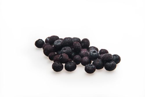 [01030404] ❄️DIRAFROST BOSBES CULTUUR 2,5 KG