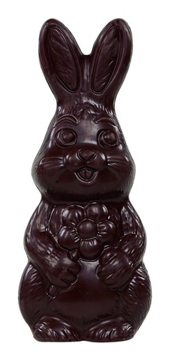 [13030359] HOLLOW DARK CHOCOLATE HARE IN TUBO 14CM 32 X 50GR