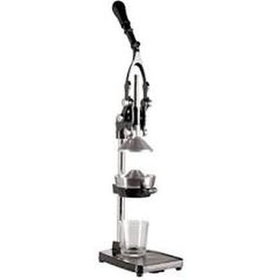 [57658699] CILIO POMEGRANATE PRESS ON BLACK STAND AMALFI