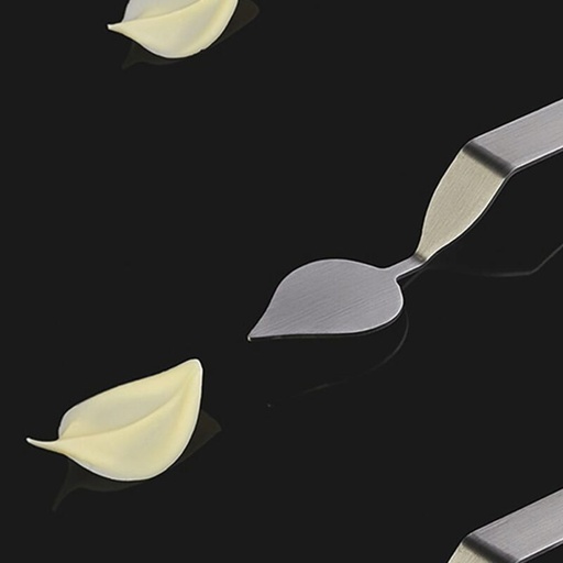 [70408797] STAINLESS STEEL SPOON DECORATED WITH LARGE LEAF "S" 40X30MM