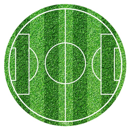 [08041701] DISQUE SUCRE TERRAIN DE FOOT 20CM