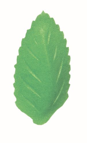 [08038002] FR01P GROENE BLAAD IN HOSTIE 41 X 21 MM 1000 STUKKEN = ZAKJE