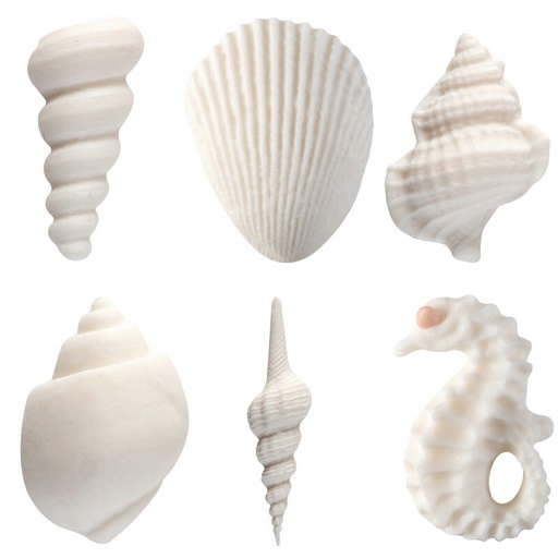 [08063336] 1024712 GEASSORTEERDE SUIKERSCHELPEN 72 STUKS ***OP BESTELLING***