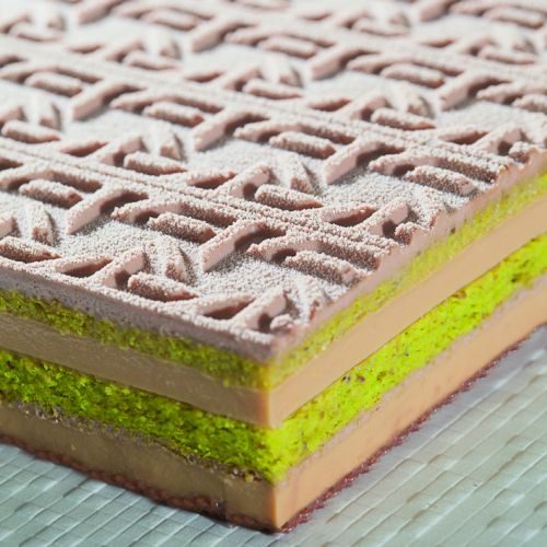 [51657339] FT-01020 PLAQUE SOUPLE FP ENTREMET 55,5X36CMH2CM NORME EURO