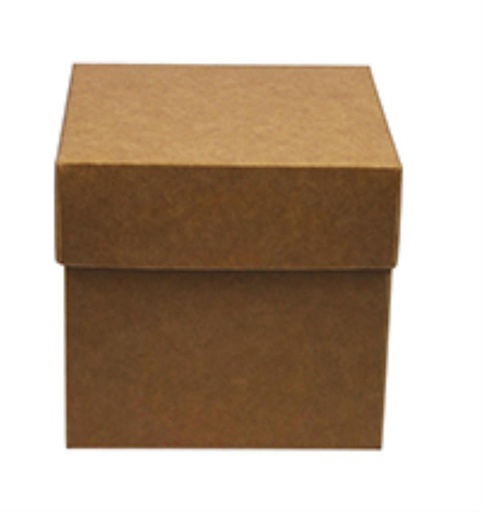 [42500117] KRAFT CUBE BOX 90X90X85MM PACK OF 10 PCES FOST PLUS INCLUDED
