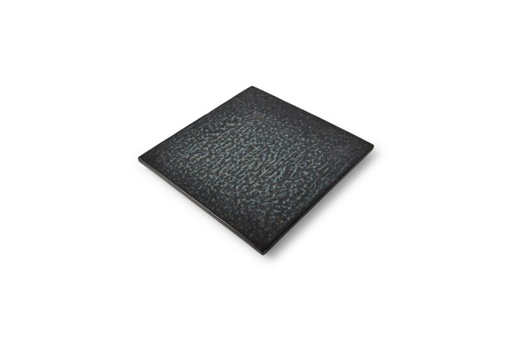 [60251448] F2D UMI SEAWEED ASSIETTE 21X21CM - 606804