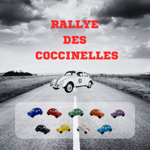 [60229112] PORSELEINEN BONEN 100STKS "LADYBIRD RALLY" ***NIEUW 2025***