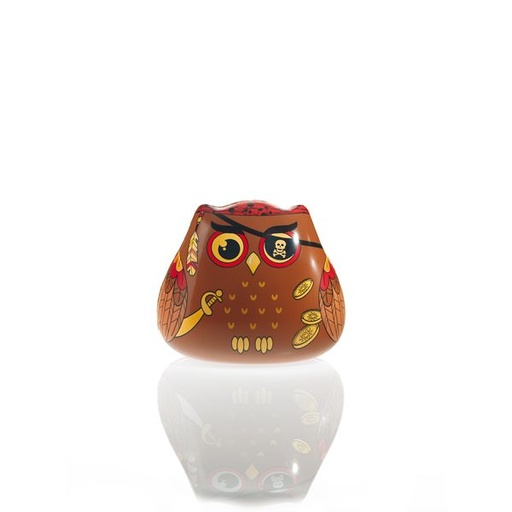 [08057056] 061225 PCB MOLDS PIRATE OWLS FOR 6 PIECES 12X10 CM 12PCES ***S/CD***
