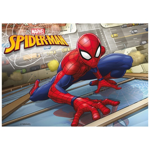 [08041940] SPIDERMAN STARCH AFBEELDING 14,8X21CM