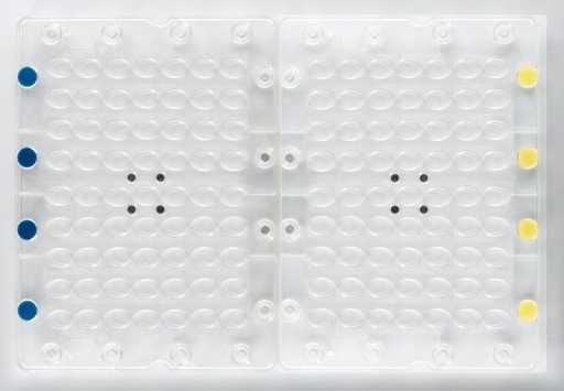 [08056229] 009964 PCB MAGNETIC MOLD FOR ASSEMBLING OUMADELEINE EGGS 63 PRINTS 1PCE ***S/CD***