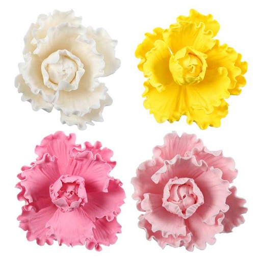 [08074234] *FF*1066057 PIVOINE ASSORTIMENT 16PCES ***S/CDE***