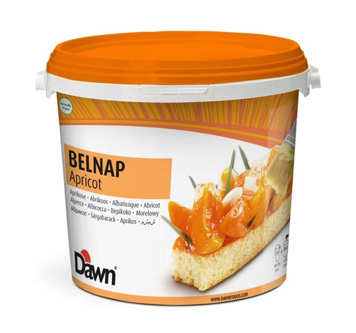 [03040119] DAWN BELNAP BLONDE ABRIKOOS GLAZUUR 14KG EMMER