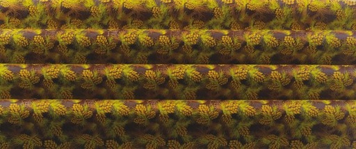 [08057231] 065007 PCB FEUILLES IMPRIMÉES PINÈDE 40X25 CM 17PCES ***S/CD***