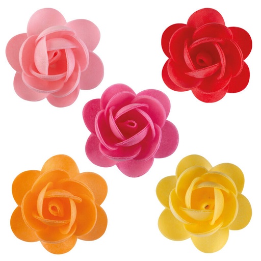 [08034290] *FF*1049008 ANDREA ROZEN 5CM 100ST***S/CD***