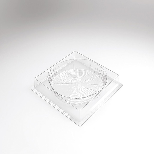 [08057620] 070517 PCB MOULES ENTREMETS SOUCHE POUR 30 PIÈCESØ 18 CM P 4 CM 30PCES ***S/CD***