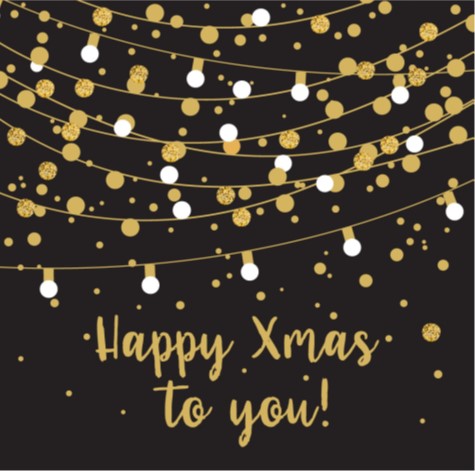 [44665166] DUNI SERVETTEN HAPPY XMAS 33X33CM 20ST