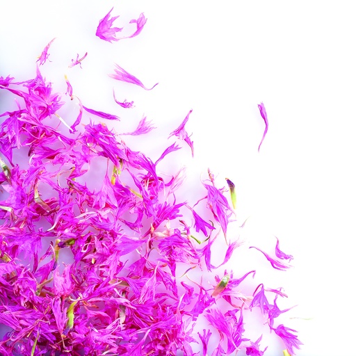 [08058132] 088212 PCB DRIED PINK CORNFLOWER FLOWERS 8GR